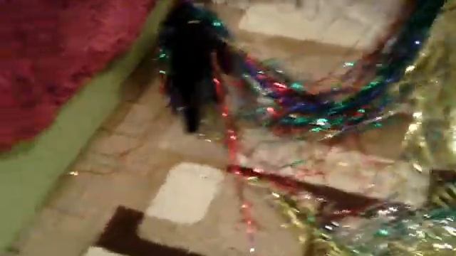 Смотреть ВСЕМ!!!Кошка и новогодний дождик. смотреть онлайн