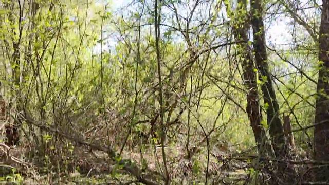 Ручей-родник часть√24 смотреть онлайн