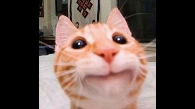 Готовим с Любовью