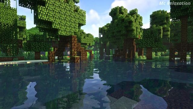 Minecraft Mangrove Swamp Ambience W/C418 Music | 4 Hours