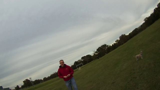 BetaFlight Flipping tests (complete w/ Tryptophan interludes ) смотреть онлайн