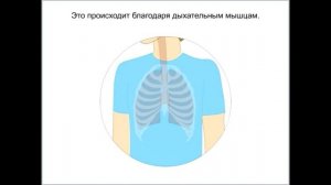 "Дыхательная система", Окружающий мир 4 класс ч.1, с.21-24, Школа XXI век.