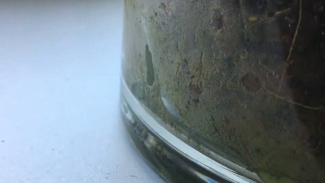 новая орхидея в моей коллекции смотреть онлайн