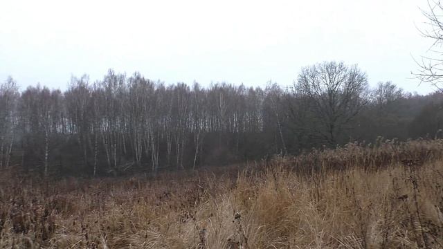 Купил себе термос . Обзор термоса фирмы Арктика.