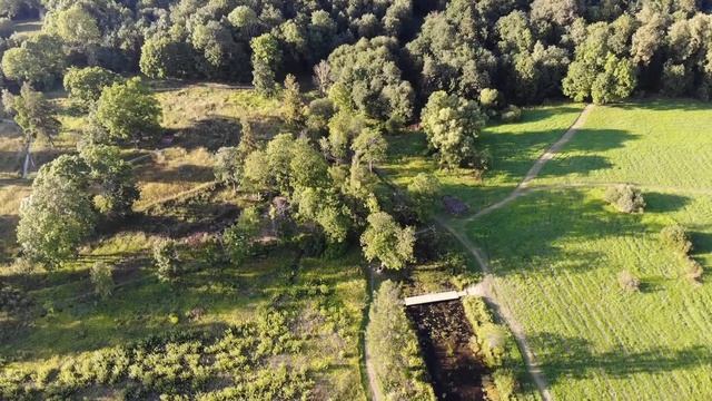 Усадьба Демидовых Тайцы смотреть онлайн