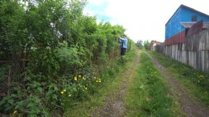 ✅ Самая лучшая изгородь и акации. Не гниёт и красить не надо.