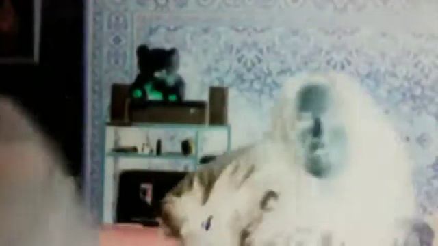 Арт - Профи Форум 2015 смотреть онлайн