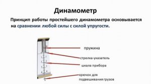 Единица измерения силы. Измерение силы. Динамометр.