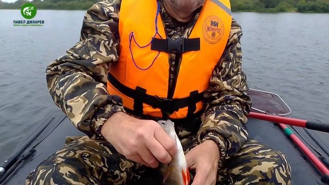 Искупался и даже не заснял)) смотреть онлайн