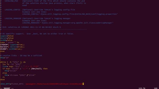 Installing APM Insight Java agent in Tomcat смотреть онлайн