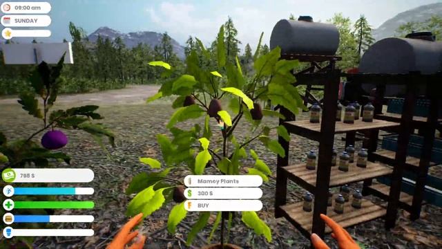 FARMER LIFE SIMULATOR - ПЕРВЫЙ ВЗГЛЯД