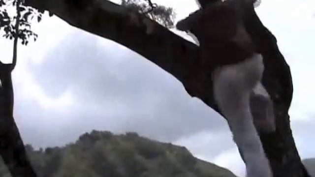 A Day of Parkour Training: The Wall-Up смотреть онлайн