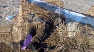 Дебальцевский котёл!