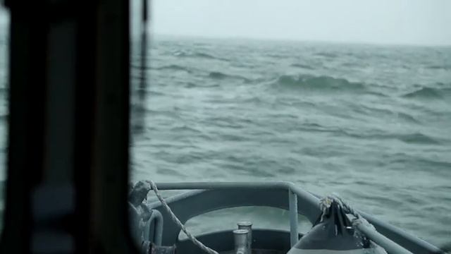 В море выпустили детеныша тюленя, рожденного в Рижском зоопарке смотреть онлайн