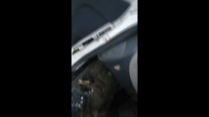 Быстрая замена дверных петель Рено Логан. Без снятия обшивки двери