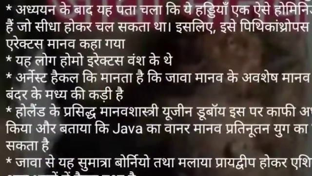 जावा मानव | Java Man смотреть онлайн