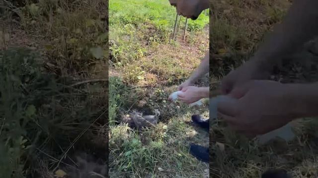 Что делать с мелочью которая завалялась в кошельке? смотреть онлайн