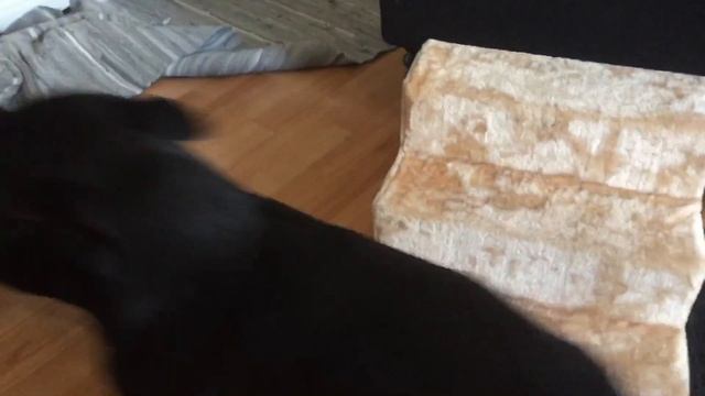 Kuzco play progression смотреть онлайн