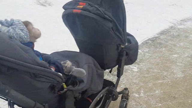 Дышим свежим воздухом, прогулка с обезьянками #monkey #обезьяна #прогулка смотреть онлайн