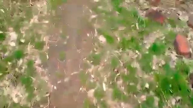 Нашли в заброшке сатаничеческие знаки , что там раньше было? смотреть онлайн