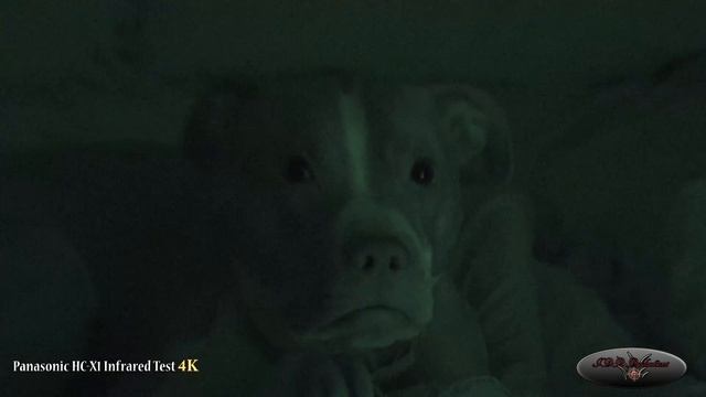 Panasonic HC-X1 Infrared Test 4K смотреть онлайн