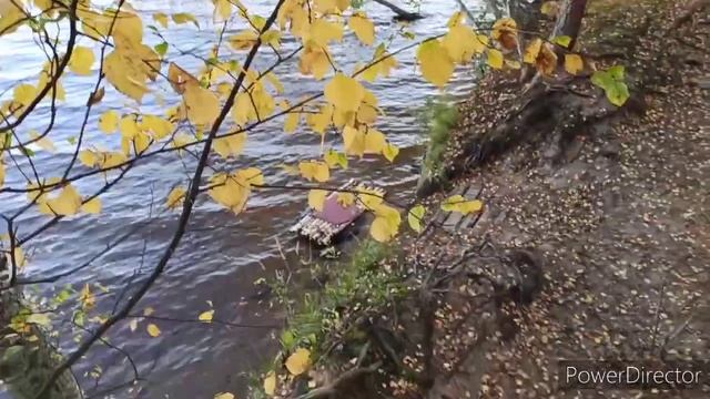озеро Высокинское смотреть онлайн
