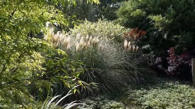 Amstelpark September 2017