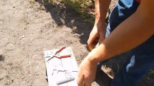 Обзор новых ГФ винограда селекции Опрышко Н В  на его селекционном участке