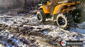 Обзор КвадроциклаMotoland Wild Track200 X Pro