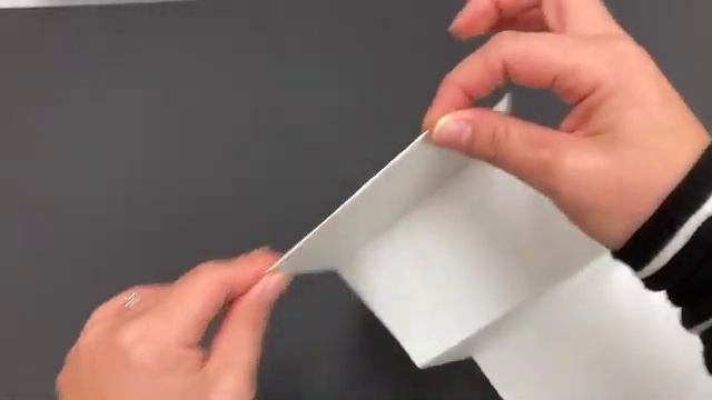 Elements of Art Accordion Book смотреть онлайн