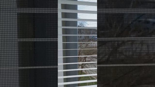 Наружные жалюзи. Новинка.