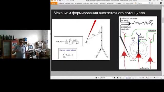 Электрические потенциалы мозга смотреть онлайн