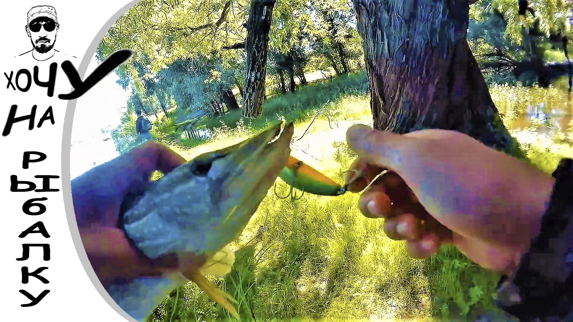 Один день, две рыбалки, две щуки. смотреть онлайн