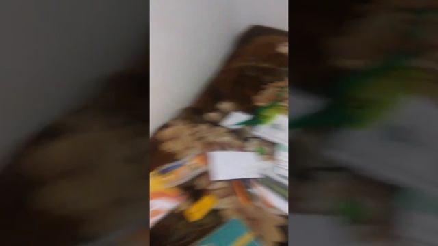 как протереть аыль 2 часть смотреть онлайн