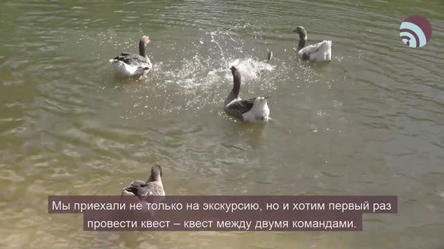 Мечта для «Активного долголетия» смотреть онлайн