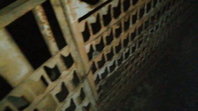 Бойная голубка. Ждёт своего Хозяина. 3.12.2021.г. смотреть онлайн