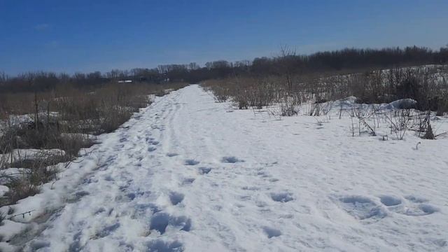 Причины агрессии у кобелей/Пошли в пекло бродячих собак но.../Что с питомником?? смотреть онлайн