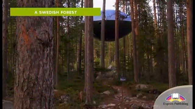 VTS 37 1 смотреть онлайн