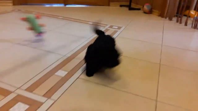 Русская салонная смотреть онлайн