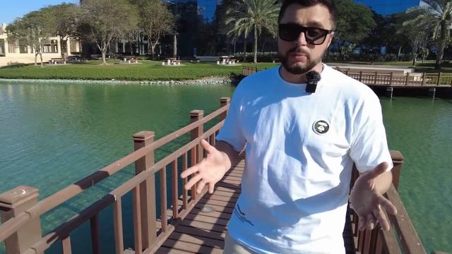 ФЕНОМЕН ДУБАЯ: От пустыни к городу будущего / В чем секрет Эмиратов? смотреть онлайн