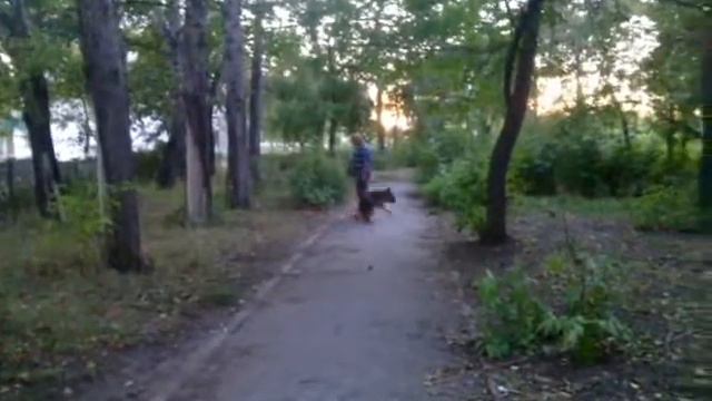 Бой смотреть онлайн