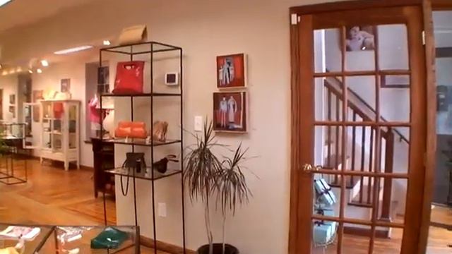 Mimosa Gallery Exhibit - Lorraine Chesin смотреть онлайн