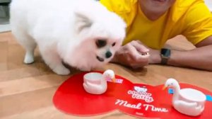 24 часа говорю Гучи да. Мистер Макс