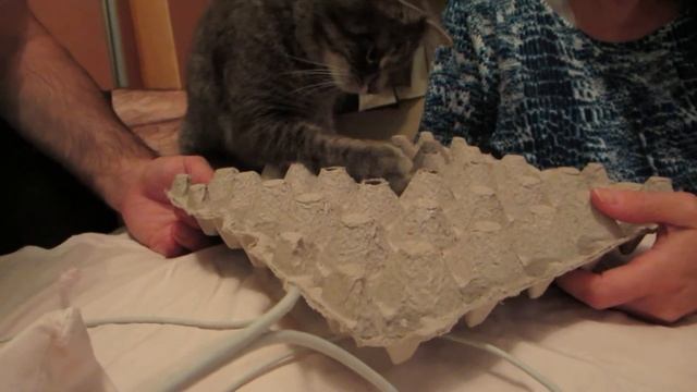 Tiny Tiger Games смотреть онлайн