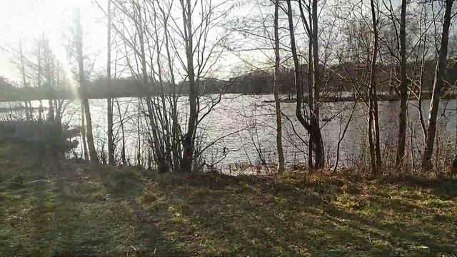 Бонус ЖК "Шуваловский"СПБ смотреть онлайн