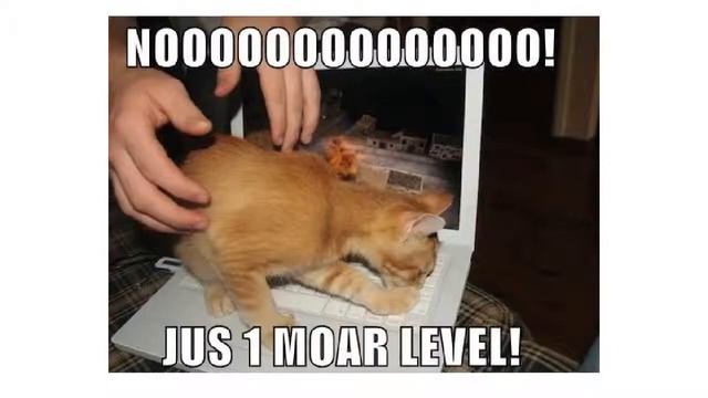 The Skinner Box en gaming смотреть онлайн