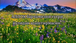 Поздравление с праздником Курбан-Байрам. Курбон Хайити табриги.