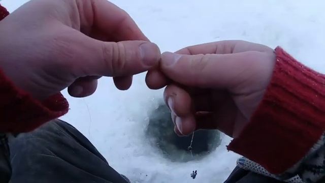 Зимняя рыбалка. Лещ. Подводная съемка. смотреть онлайн