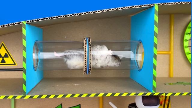 ?♂️? HAMSTER Escapes the Amazing Maze and Traps ?[OBSTACLE COURSE]?+ ZOMBIES смотреть онлайн