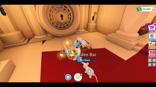 ?PET SHOP? Update in Adopt me (Roblox) New Place, Vault, Discosplosion, Squeaky Toys смотреть онлайн
